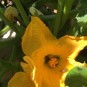 MAKE ME AN OFFER - 20% off BUNDLE 2 OR MORE!